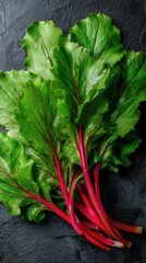 Vibrant red chard stalks and deep green leaves offer a striking contrast against a dark background. A healthy and colorful addition to any meal.