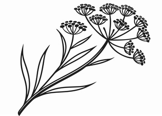 Obraz premium Wildflower Silhouette – Botanical Plant Vector Illustration
