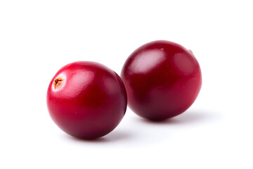 Red Cranberry, isolated on white background