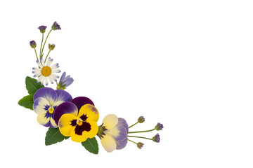 Wildflower Botanical Corner Elements PNG – Minimal Watercolor Floral in Neutral Boho Style

