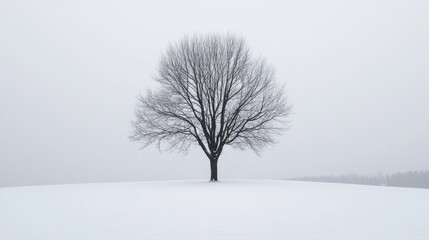 Fototapeta premium Solitary tree standing majestically on a snow-covered landscape winter serenity photography tranquil environment wide-angle view nature's beauty