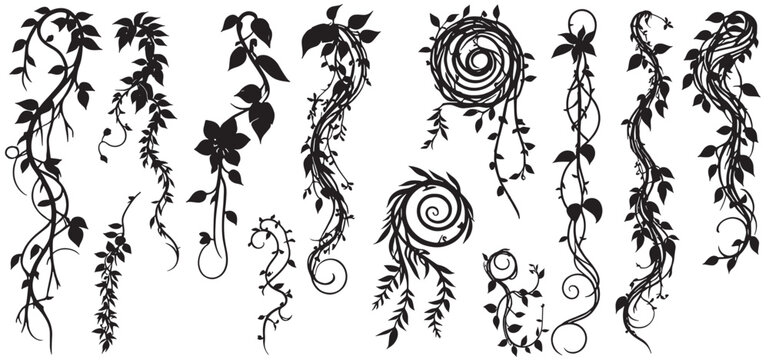 jungle lianas branches silhouette, tropical forest climbing sprouts. Rainforest garden hanging liana vines elements vector illustration set