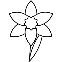 Daffodil Botanical Vector – Clean Black and White Line Drawing for Spring Use