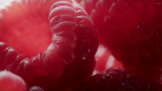 Raspberries super close up stock footage