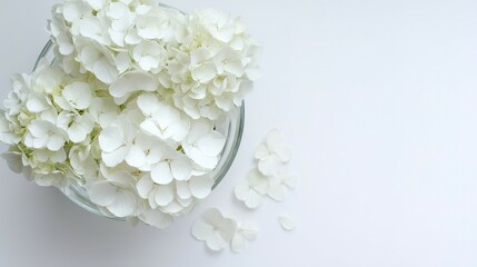 Elegant white hydrangea blossoms in a glass bowl.