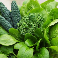 Vibrant Green Leafy Greens and Kale Closeup