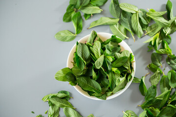 Top view of green mint in white bowl