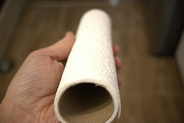 Paper towel in hand close up.
