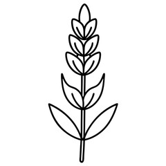 Lavender Flower Line Art &ndash; Minimalist Black and White Vector on White Background