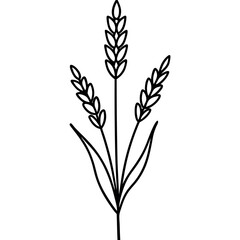 Lavender Flower Thin Line Icon – Stylized Botanical Vector for Natural Branding