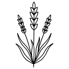 Fototapeta premium Lavender Thin Line Icon – Simple Nature-Inspired Vector Illustration