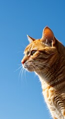 Obraz premium Sun-Kissed Gaze AI Generated