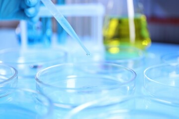 Scientist taking sample with pipette out of Petri dish at table in laboratory, closeup