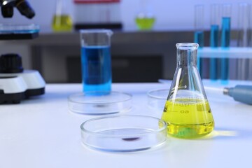 Petri dishes, flasks and test tubes with samples on white table in laboratory