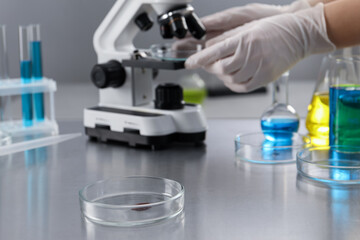 Scientist working with microscope at table in laboratory, focus on Petri dish