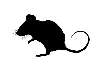 Mouse silhouette, outline – vector illustration