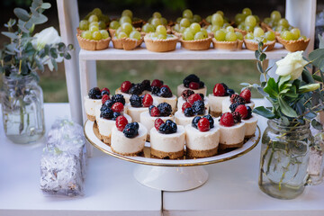 A beautifully arranged dessert table featuring mini berry cheesecakes, green grape tarts, and floral decor. The clean, natural style makes it ideal for events, catering, and gourmet branding. 
