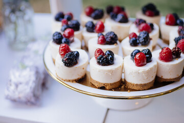 A close-up of gourmet mini cheesecakes topped with fresh berries, served on a white cake stand. The clean composition and vibrant colors make it ideal for food branding, catering promotions.