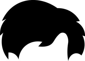 Hairstyle icon set Male Hairstyle Illustration female Hairstyle Illustration Different types of wigs. Black and white vector set of men hairstyle silhouettes Hairstyle icon set editable perfect vector
