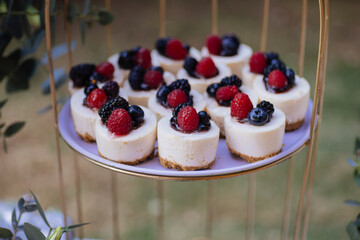 A close-up of gourmet mini cheesecakes topped with fresh berries, served on a white cake stand. The clean composition and vibrant colors make it ideal for food branding, catering promotions.