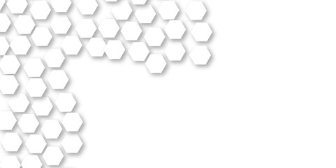 Abstract technology white and grey geometric hexagon shape on white background vector.