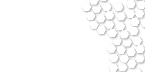 Abstract technology white and grey geometric hexagon shape on white background vector.