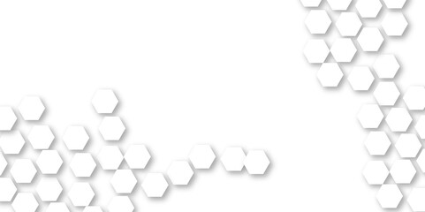 Abstract technology white and grey geometric hexagon shape on white background vector.