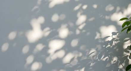 Sunlight's Embrace