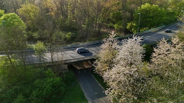 Smooth drone flyover of spring suburban street with flowering trees and tunnel