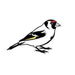 Obraz premium Bold Strokes, Avian Elegance AI Generated