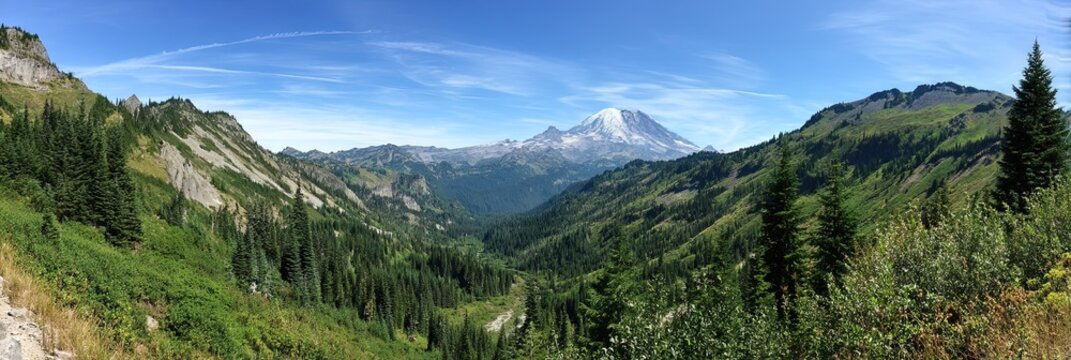 photo of mount ranier national park 