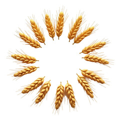 A circle of golden ears of wheat
