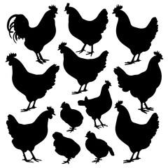Silhouettes of various chickens, roosters, and chicks arranged in a grid pattern on a white background, showcasing different poses and feather shapes in a clean vector style.
