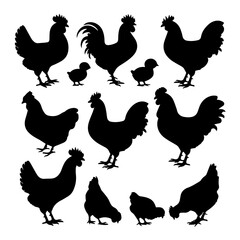 Silhouettes of various chickens, roosters, and chicks arranged in a grid pattern on a white background, showcasing different poses and feather shapes in a clean vector style.