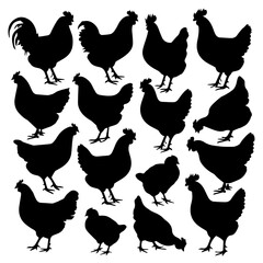 Silhouettes of various chickens, roosters, and chicks arranged in a grid pattern on a white background, showcasing different poses and feather shapes in a clean vector style.