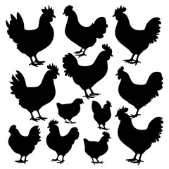 Silhouettes of various chickens, roosters, and chicks arranged in a grid pattern on a white background, showcasing different poses and feather shapes in a clean vector style.