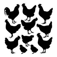 Silhouettes of various chickens, roosters, and chicks arranged in a grid pattern on a white background, showcasing different poses and feather shapes in a clean vector style.