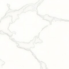 Obraz premium Faint Marble Topography