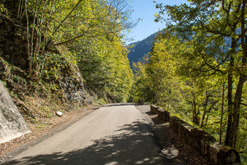 Obraz premium Road in the mountains along a deep gorge covered with dense forest. Abkhazia, trip to Lake Ritsa. Warm autumn day