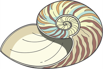 Obraz premium 109 seashell, rainbow colors, iridescent, detailed, hyperrealistic, glossy, smooth surface, natural lighting, high contrast, studio shot, seamless background