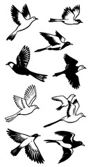 Obraz premium Flight Patterns in Ink AI Generated