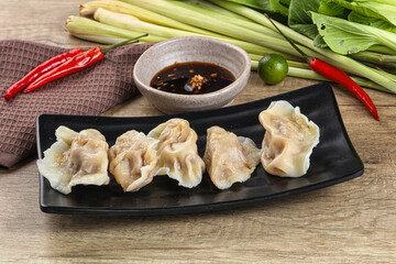 Asian steamed dumplings with meat
