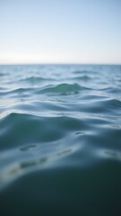 Fototapeta premium Waters gentle undulation