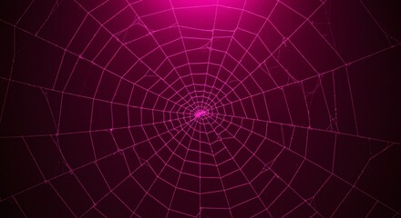Obraz premium Detailed Close-up of a Vibrant Magenta Spiderweb