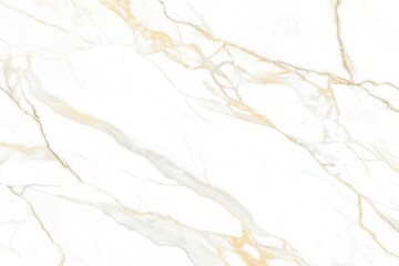 Bright white marble with gold veins creates a luxury and elegant polished surface