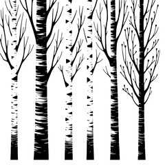 Black and White Birch Trees: Minimalist Forest Background