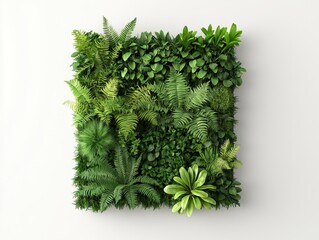 A square vertical garden of lush green plants displayed on a white wall.