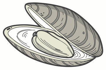 117 mussel, shell, freshwater, bivalve mollusk, close-up, detailed, photorealistic, high resolution © Manik Mia