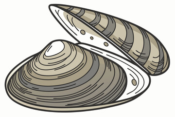 117 mussel, shell, freshwater, bivalve mollusk, close-up, detailed, photorealistic, high resolution