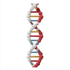 DNA double helix